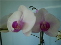 80dc8541-Picture 094.jpg